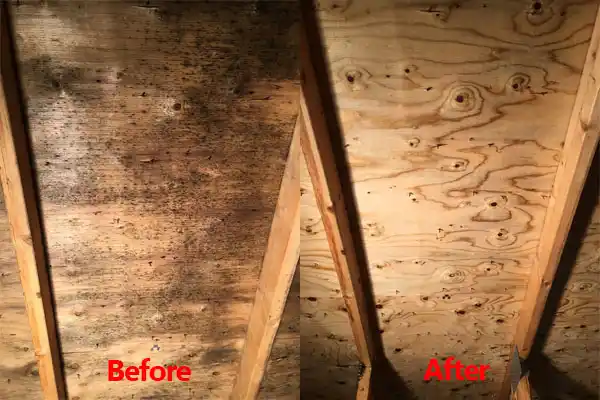 water damage restoration service Russells Point